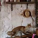 Bed & Breakfast De Snoeperij *