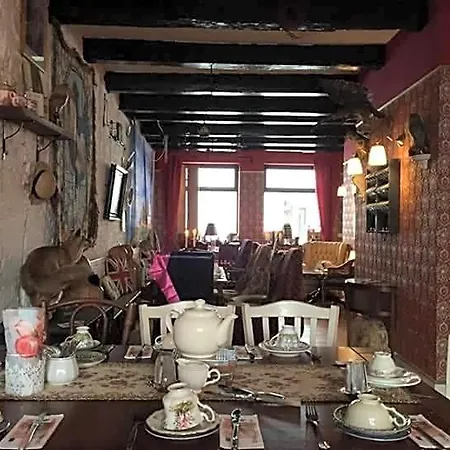 Bed & Breakfast De Snoeperij Dirksland