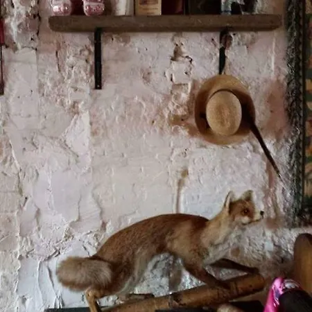 Bed & Breakfast De Snoeperij *