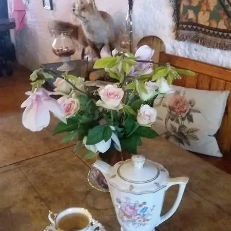 De Snoeperij * Dirksland