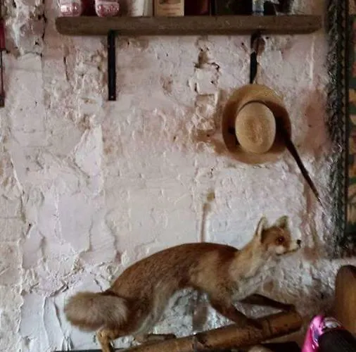 Nocleg ze śniadaniem De Snoeperij *